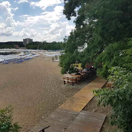 Salena プリモルスコ